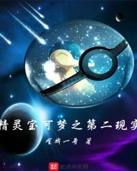 精靈寶可夢之第二現實