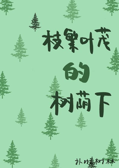 枝繁葉茂的樹蔭下