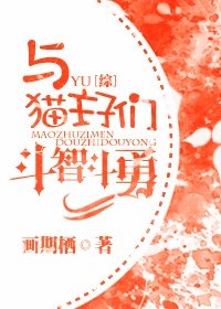 《(无CP/综漫同人)与猫主子们斗智斗勇》