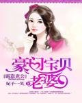 霸道老公:豪門寶貝老婆