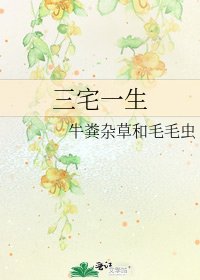 《三宅一生》