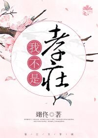 《我不是孝庄》