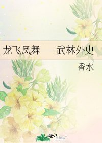 龙飞凤舞——武林外史