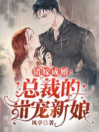 错嫁成婚:总裁的私宠甜妻秦舒褚临沉