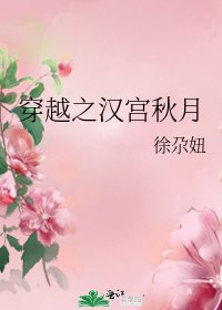 穿越之漢宮秋月
