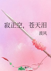 寂正空，苍天泪