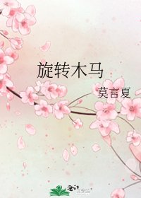 《旋转木马》