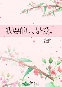 《我要的只是愛。》