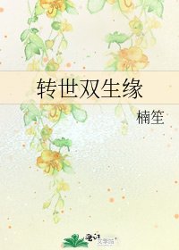 转世双生缘