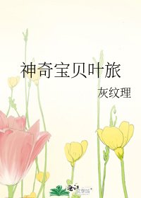 《神奇宝贝叶旅》