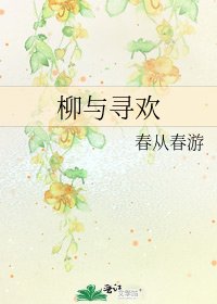 柳与寻欢
