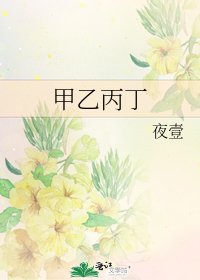 甲乙丙丁