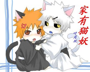 (死神白一同人)家有猫妖