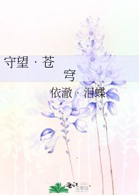 《守望•苍穹》