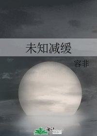《未知减缓》