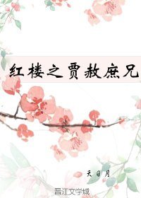 (紅樓同人)紅樓之賈赦庶兄