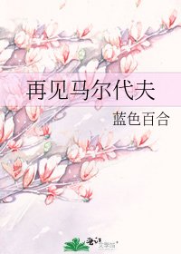 再见马尔代夫