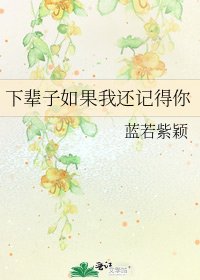 《下辈子如果我还记得你》