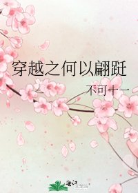 穿越之何以翩跹