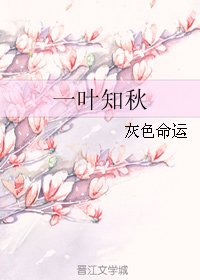 一葉知秋