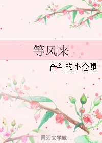 等風來