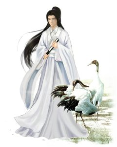 浮生未歇