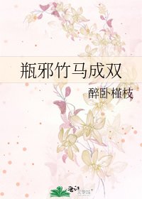 瓶邪竹馬成雙