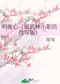 明夜心(原武林小职员改写版)