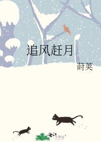 追风赶月