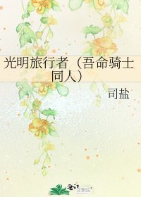 光明旅行者(吾命騎士同人)