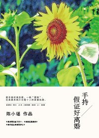 手持假证好离婚