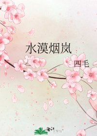 《水漠烟岚》