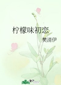 柠檬味初恋