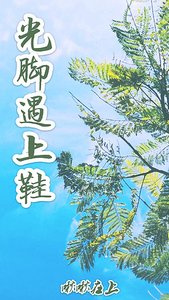 《光脚遇上鞋》