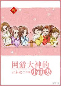 网游大神的小萌妻
