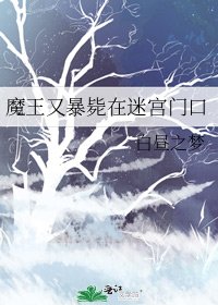 《魔王又暴毙在迷宫门口》