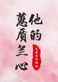 他的蕙质兰心