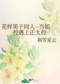 《花样男子同人--当姐控遇上正太控》