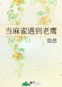當码雀遇到老鷹