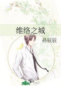 维络之城