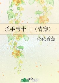 《杀手与十三(清穿)》