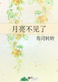 月亮不见了
