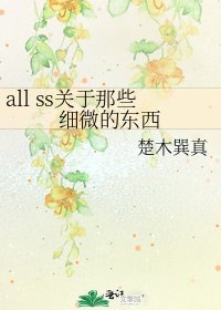 《all ss關於那些細微的東西》