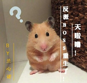《天啦噜!反派BOSS重生了!(仲孟同人)》