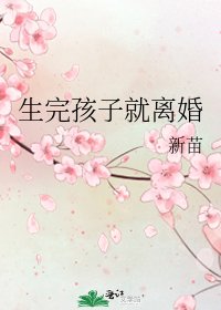 《生完孩子就离婚》