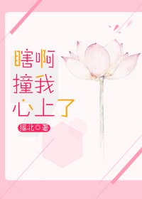 瞎啊,撞我心上了