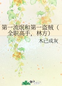 第一流氓和第一盗贼(全职高手,林方)