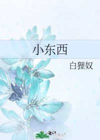 小东西