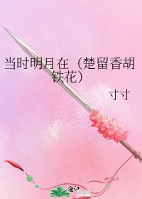當時明月在(楚留香胡鐵花)