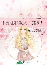 《不要让我发火,猪头!》